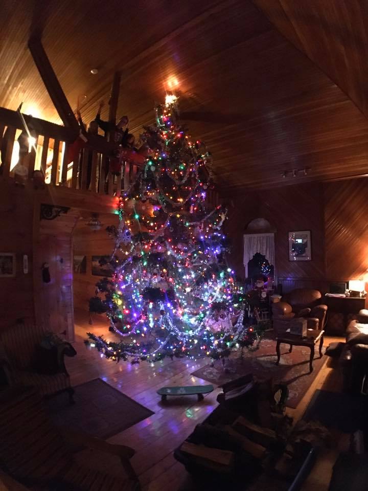 Christmas tree Highlands Hostel