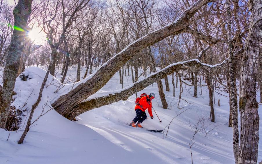 backcountry ski cape breton highlands
