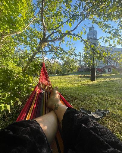 In the hammock