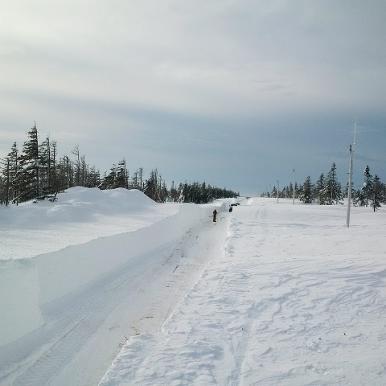 South Ridge Wilderness Trails